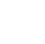 SRX ICON